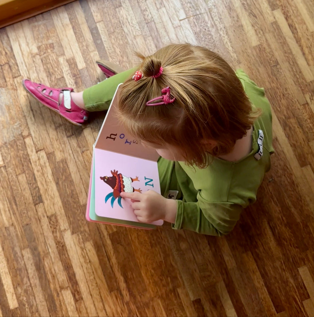 Baby and toddler board book